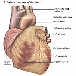 Ovjereni medicinski prijevodi Ovjereni medicinski prijevodi